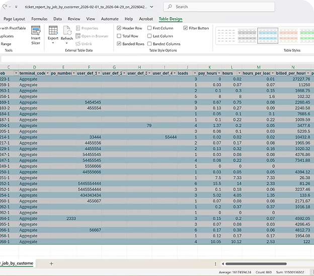 Reporting video preview